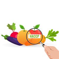HACCP - RESPONSABILE DI INDUSTRIA ALIMENTARE (20 ore)