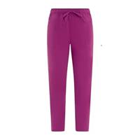 PANTALONE SANITARIO UNISEX ALAN SORONA - PRUGNA