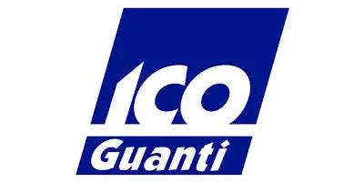 ico-guanti-logo